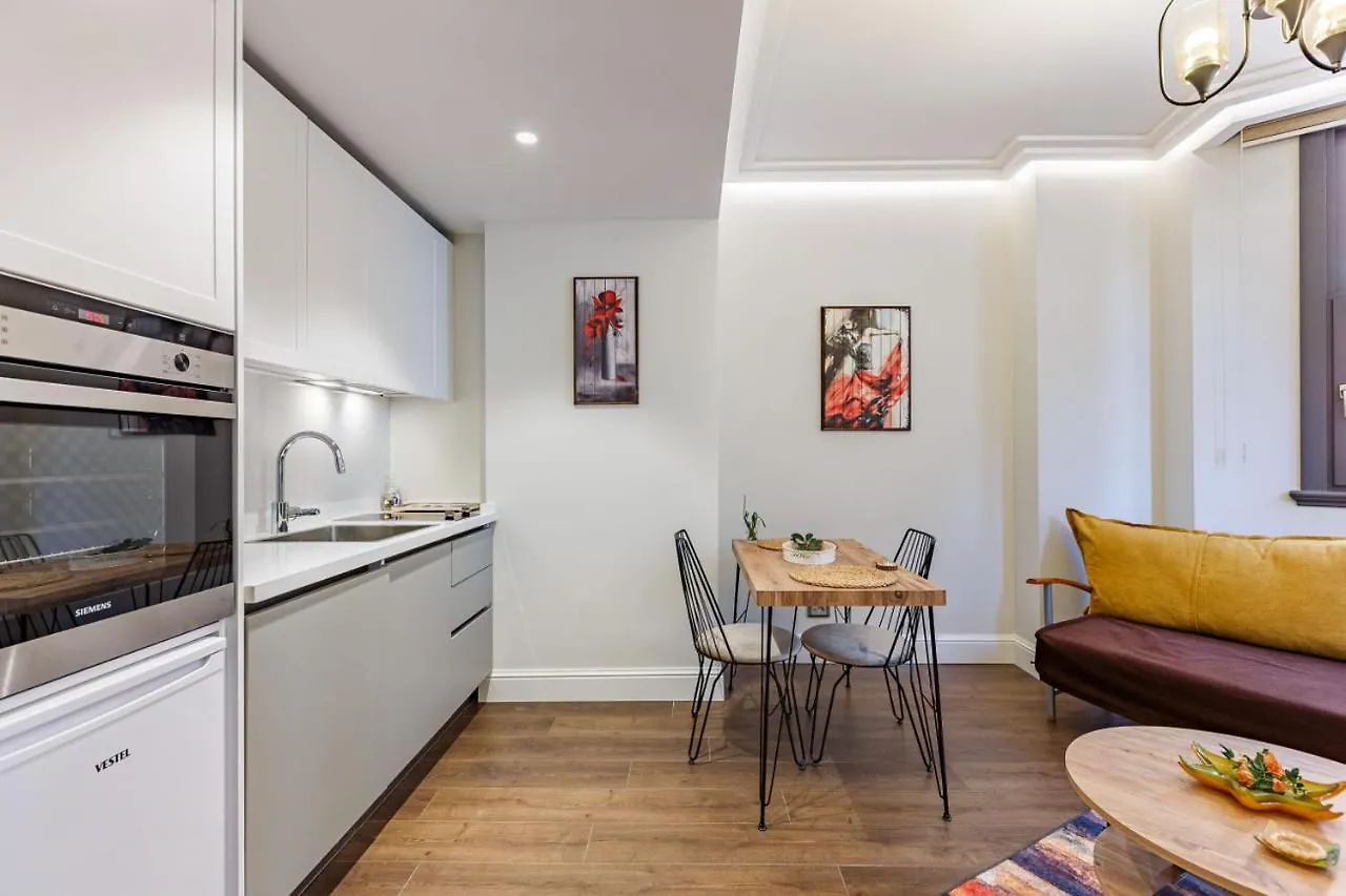 Apartmán Modern House With Central Location In Beyoglu Istanbulská provincie