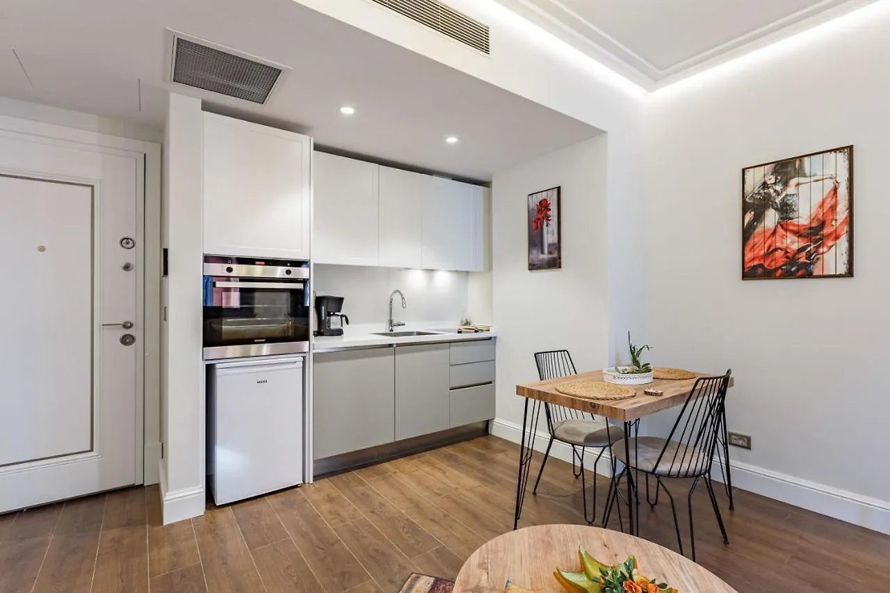 Apartmán Modern House With Central Location In Beyoglu Istanbulská provincie Turecko